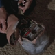 Futureworld.